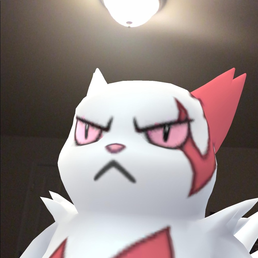 Meet your Posher, Nory